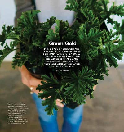 Green Gold by Les Aupiais article in Val de Vie magazine November 2021